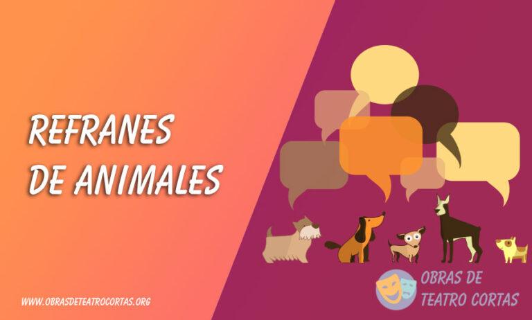 Refranes de Animales ️ Su significado y cuando usarlos!